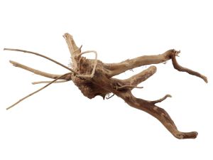 Moor root - Spiderwood Nano