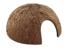 Coconut cave